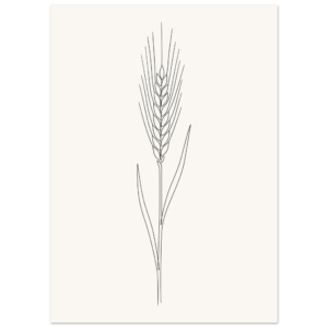 08752cb8-cbe4-43e0-b9e0-6654e490919b