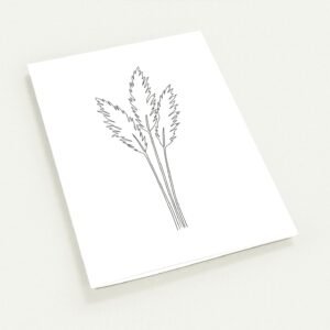 Cartões Capim dos Pampas — Coleção Botânica