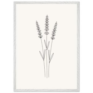 Moldura Premium Ramo de Lavanda — Coleção Botânica
