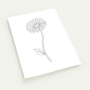 Cartões Gérbera — Coleção Botânica