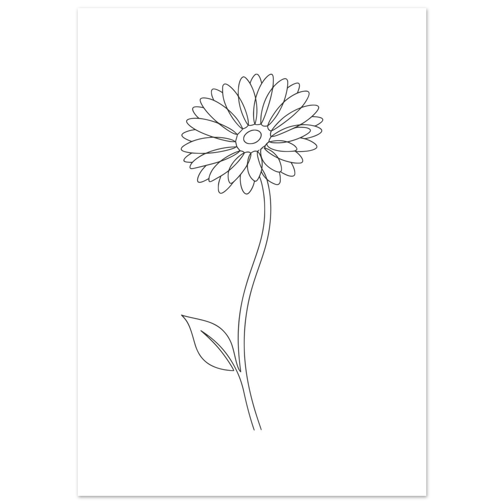 Poster Gérbera — Coleção Botânica - Image 2