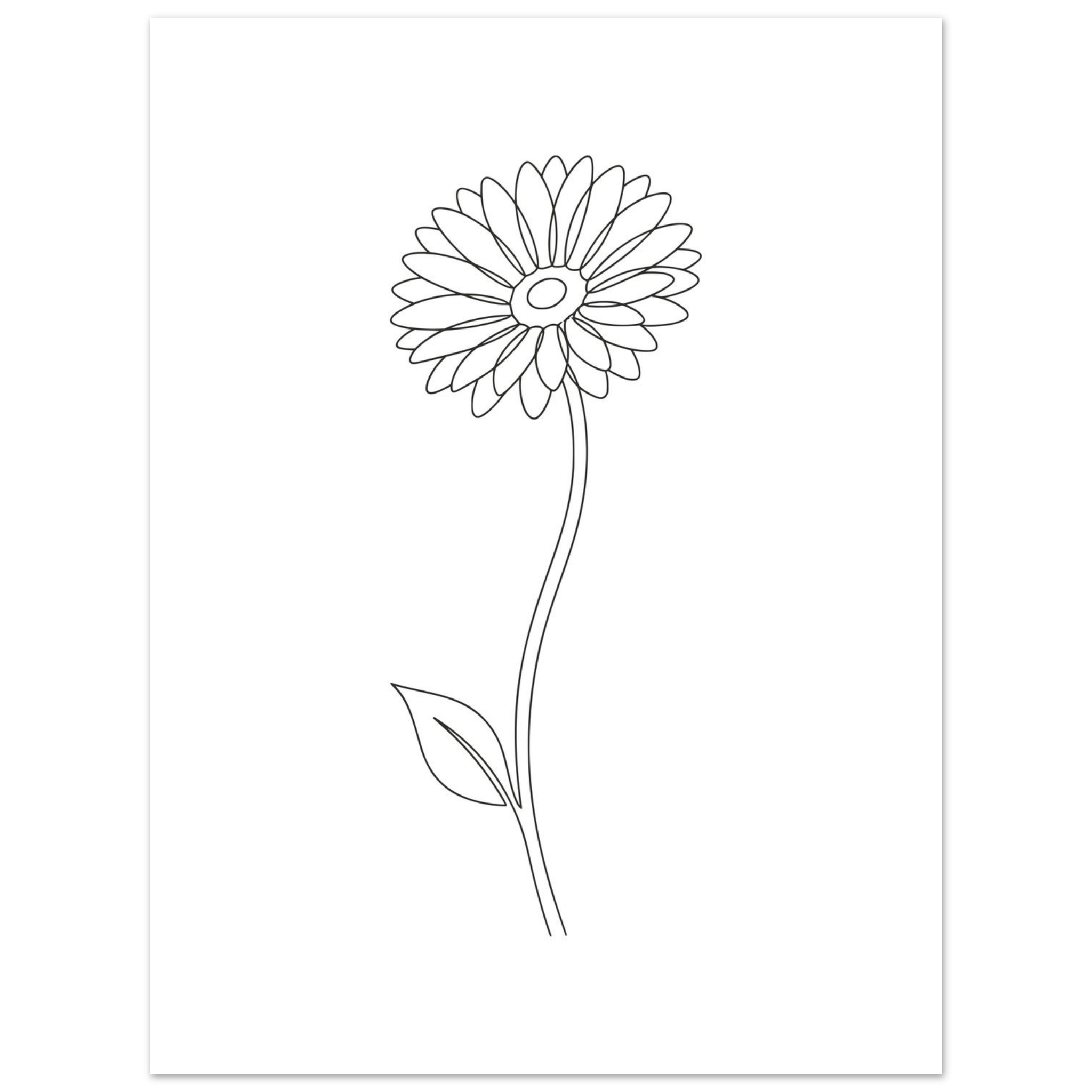 Poster Gérbera — Coleção Botânica - Image 3