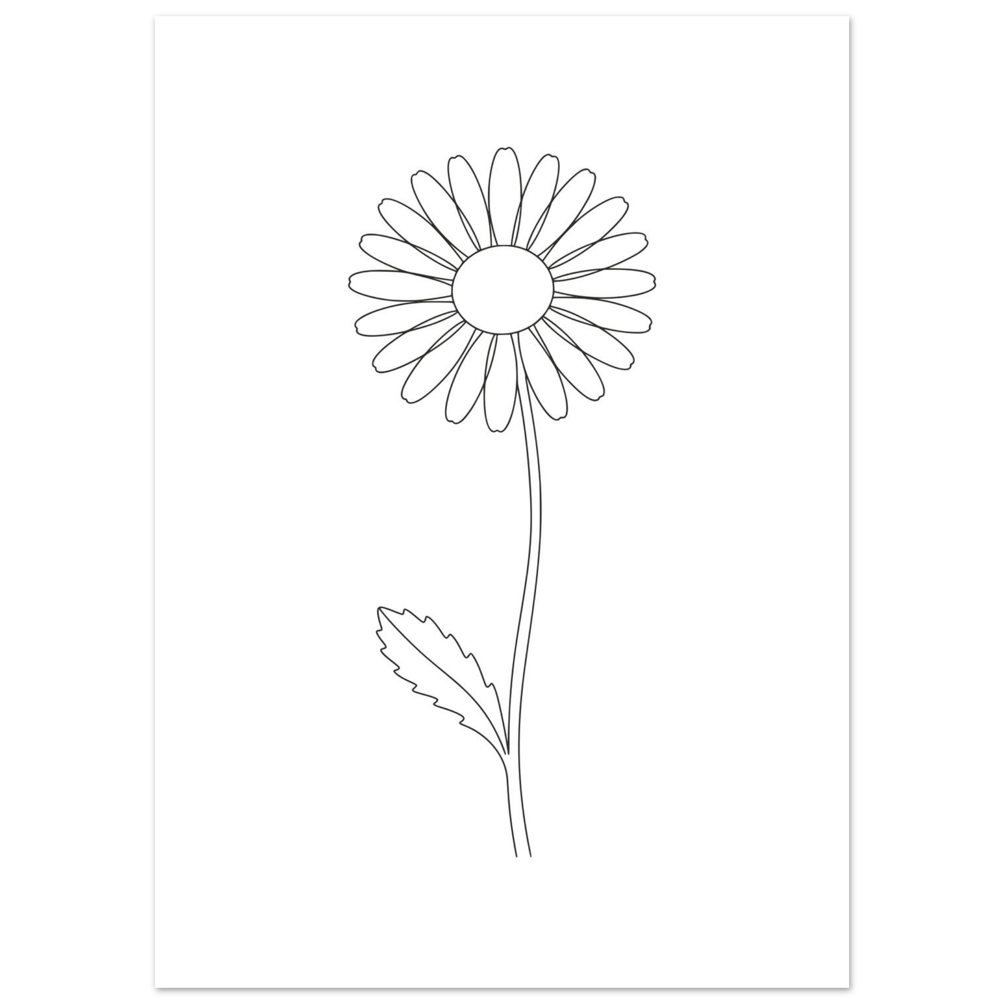 Poster Margarida — Coleção Botânica - Image 2