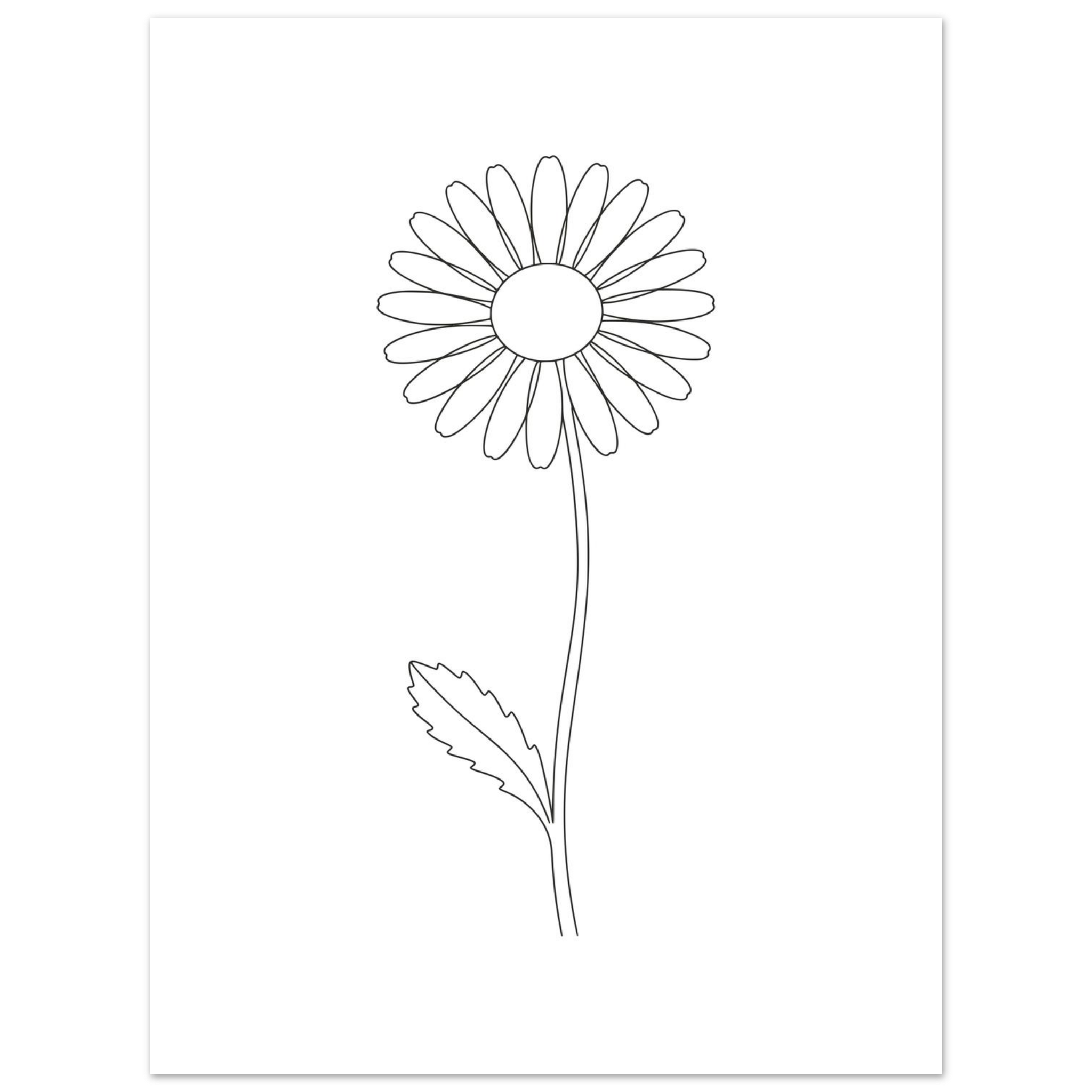 Poster Margarida — Coleção Botânica - Image 3