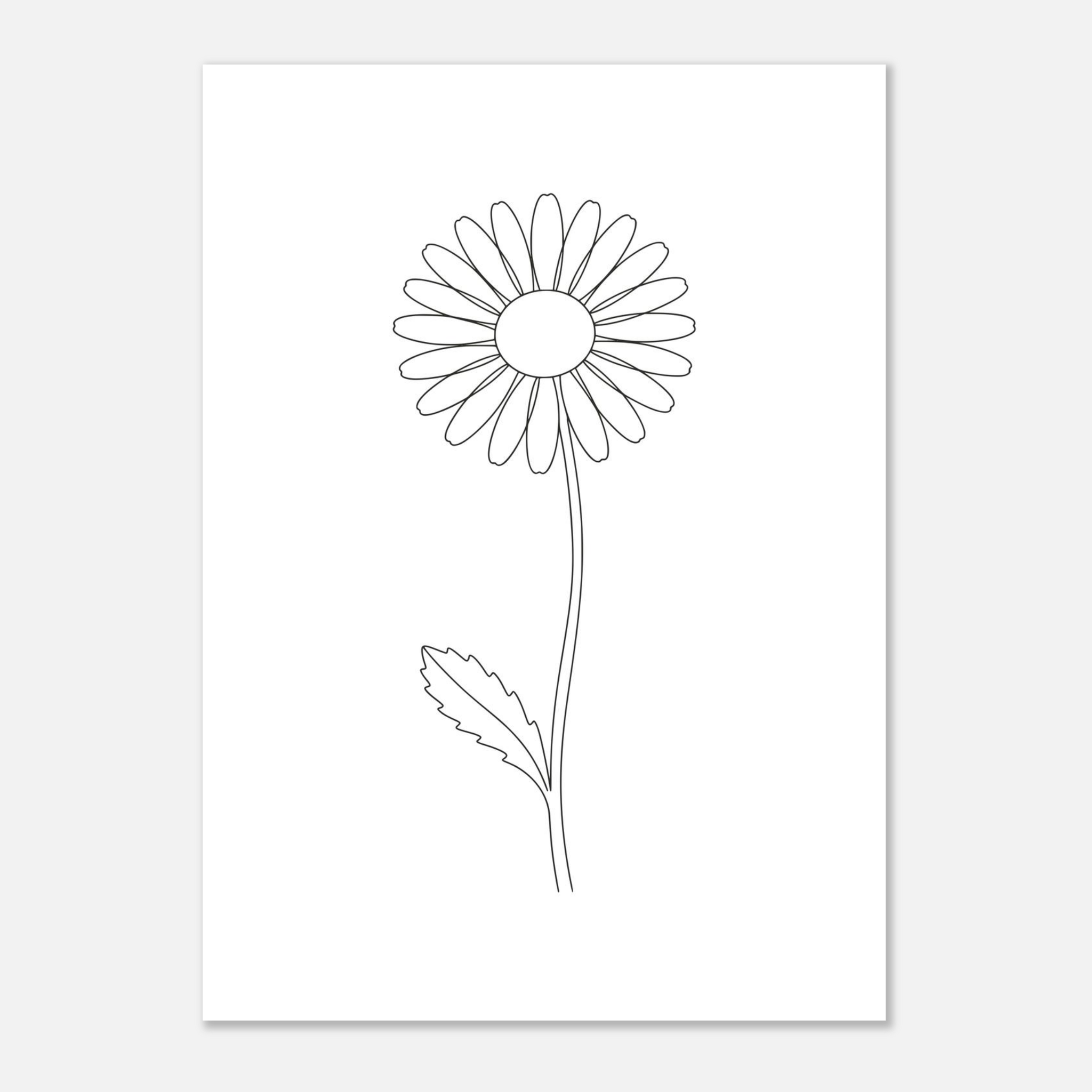 Poster Margarida — Coleção Botânica - Image 4