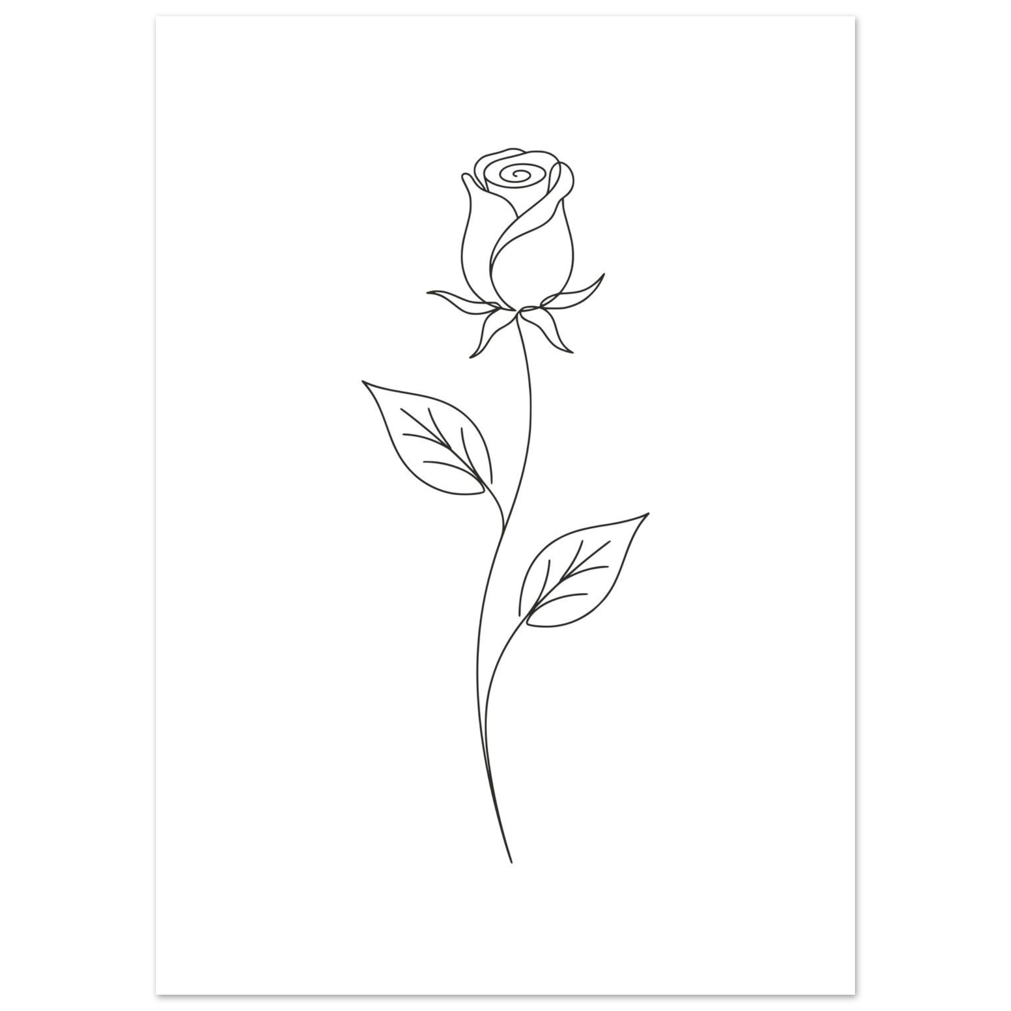 Poster Rosa — Coleção Botânica