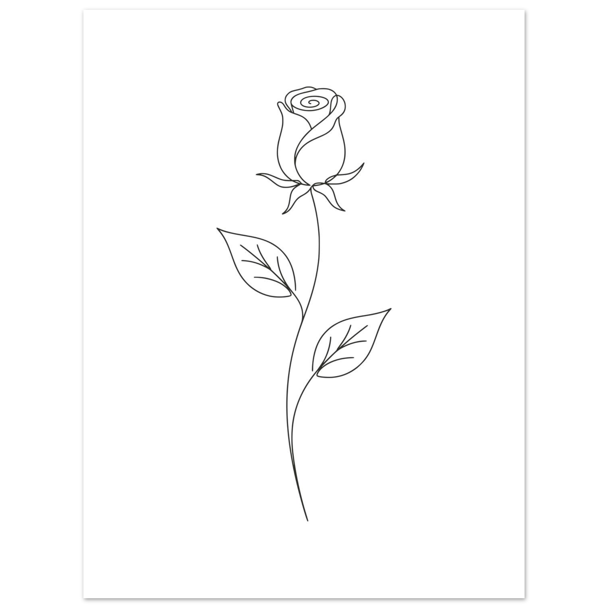 Poster Rosa — Coleção Botânica - Image 2